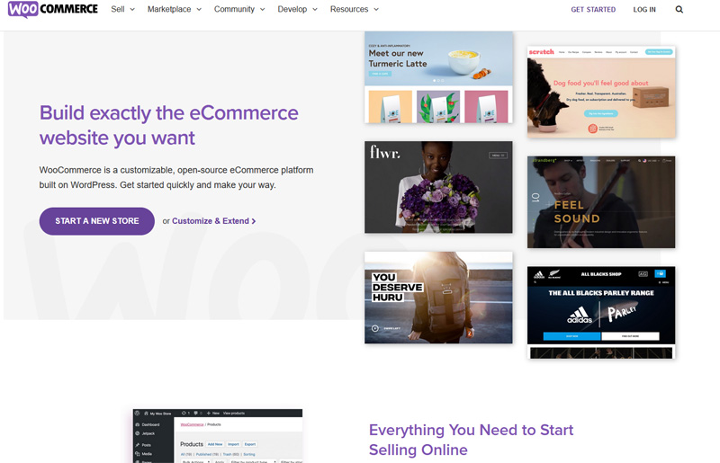 What Is WooCommerce?