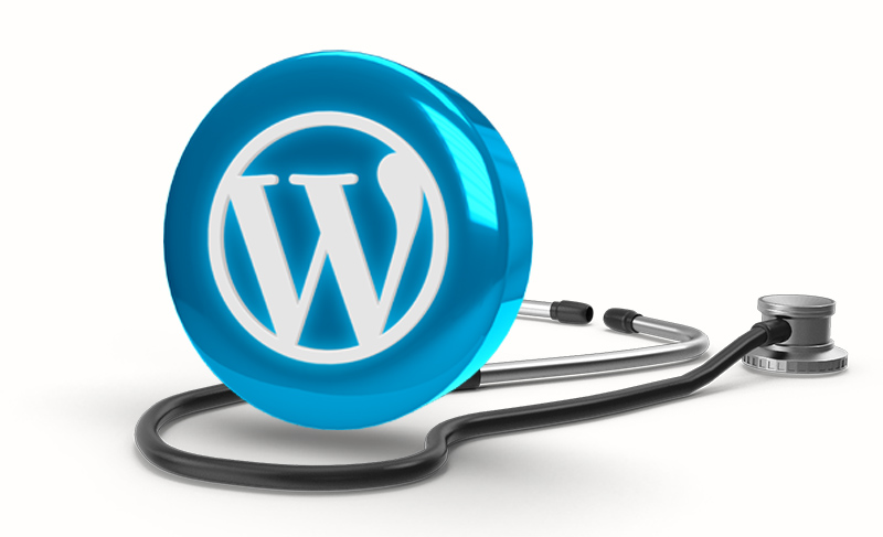 Why Your WordPress Website Needs a Care Plan
